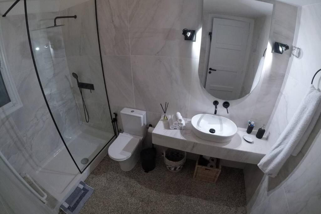 Acropolis View Huge Apartment - Centrally Located アテネ エクステリア 写真